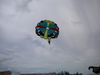 Coming in for a landing