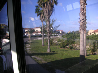 Blue Skies and Palm Trees